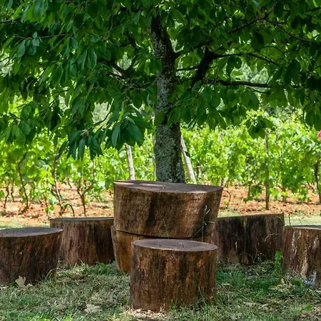Casa Cubanici